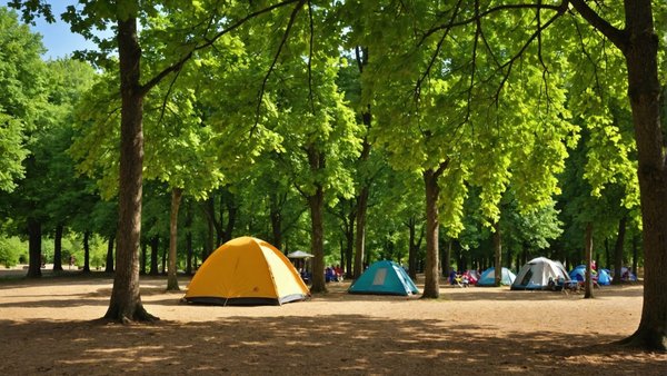Où dormir à sarlat ? découvrez le confort du camping 4 étoiles